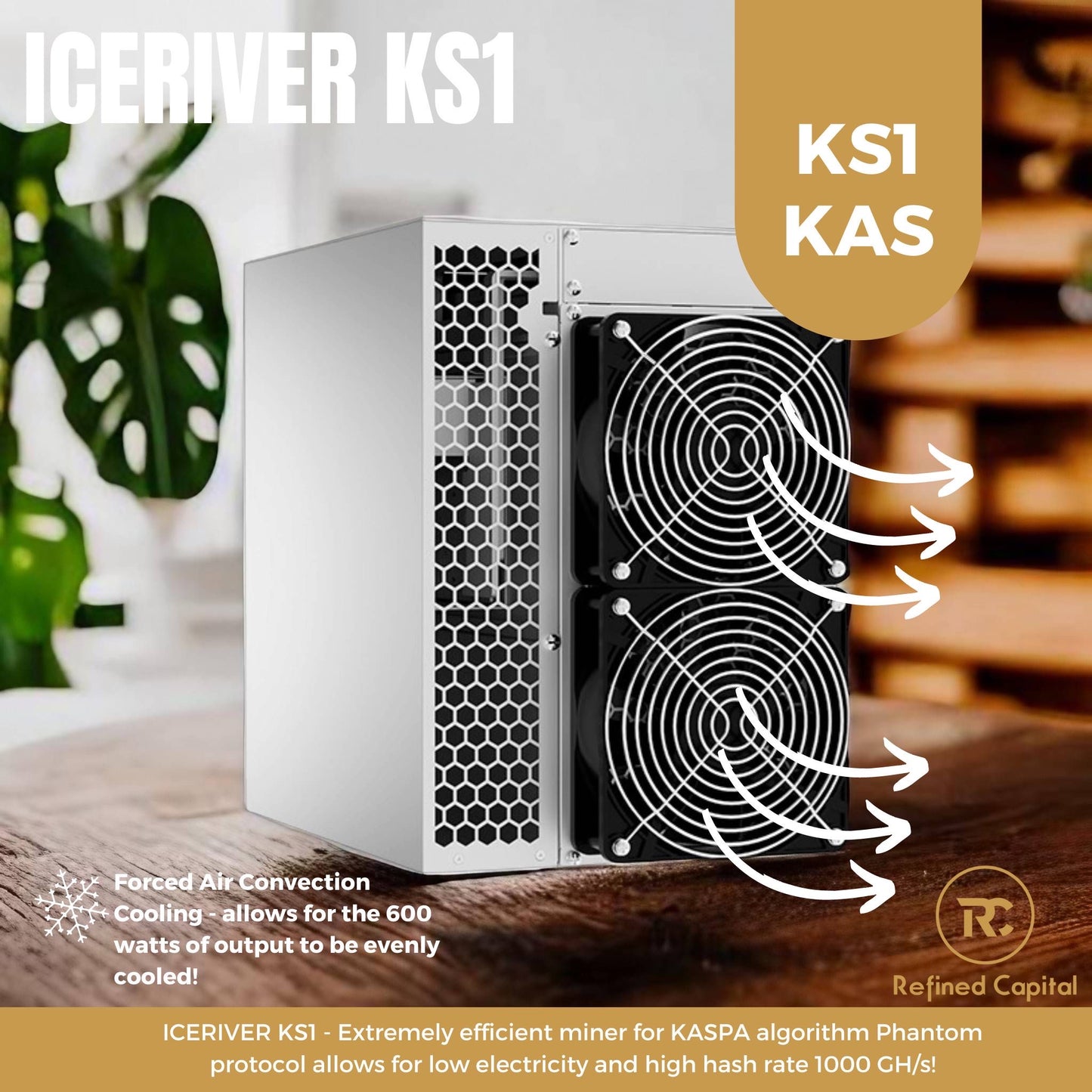 IceRiver KS1 1 TH/s Kaspa Miner